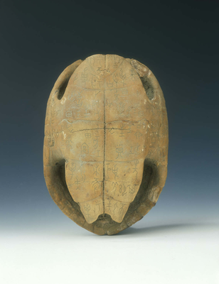 Tortoise shell with oracle bone